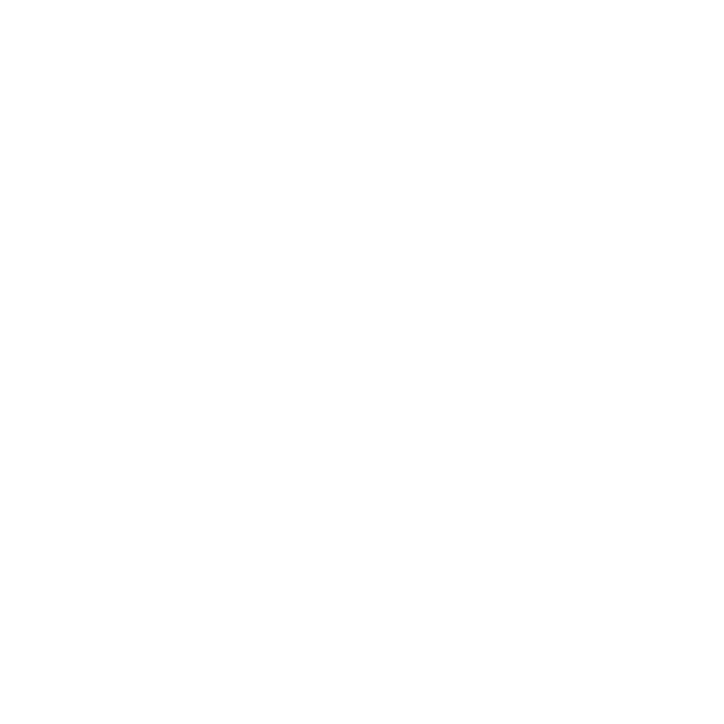BIRD Logo